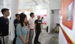 三段奶粉爆料事件视频播放,揭秘行业黑幕与消费者权益